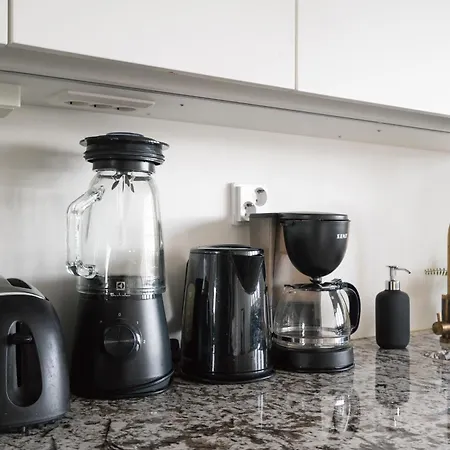 Lejlighed Comfy Floor In Downtown Helsinki